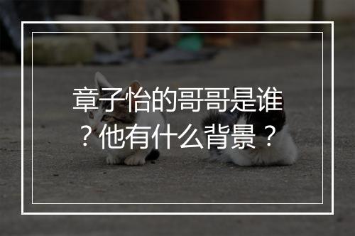 章子怡的哥哥是谁?他有什么背景?