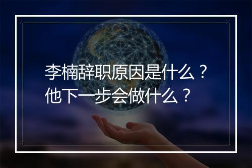李楠辞职原因是什么?他下一步会做什么?