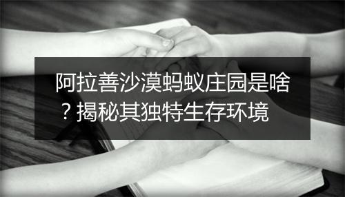 阿拉善沙漠蚂蚁庄园是啥?揭秘其独特生存环境