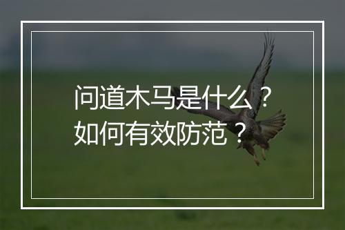 问道木马是什么?如何有效防范?