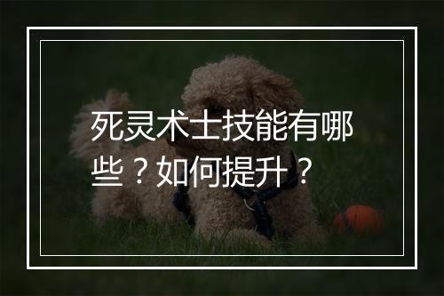 死灵术士技能有哪些?如何提升?