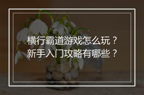 横行霸道游戏怎么玩?新手入门攻略有哪些?