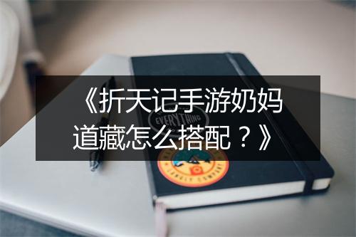《折天记手游奶妈道藏怎么搭配?》