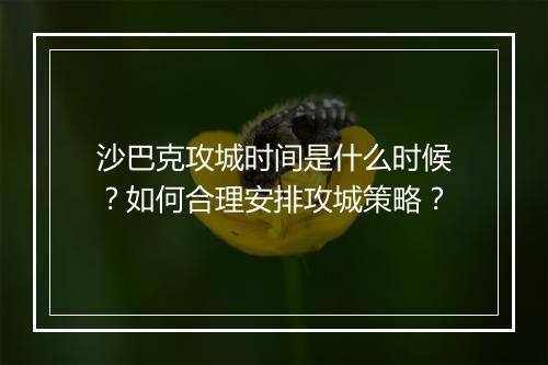 沙巴克攻城时间是什么时候？如何合理安排攻城策略？