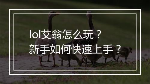 lol艾翁怎么玩?新手如何快速上手?