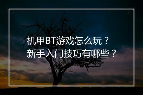机甲BT游戏怎么玩？新手入门技巧有哪些？