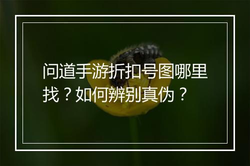 问道手游折扣号图哪里找?如何辨别真伪?
