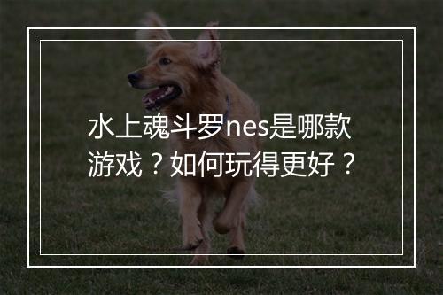 水上魂斗罗nes是哪款游戏?如何玩得更好?