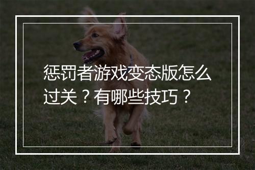 惩罚者游戏变态版怎么过关?有哪些技巧?