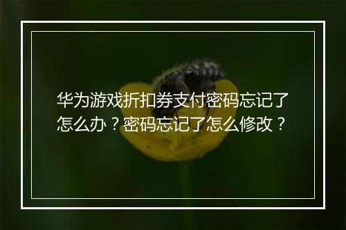 华为游戏折扣券支付密码忘记了怎么办?密码忘记了怎么修改?