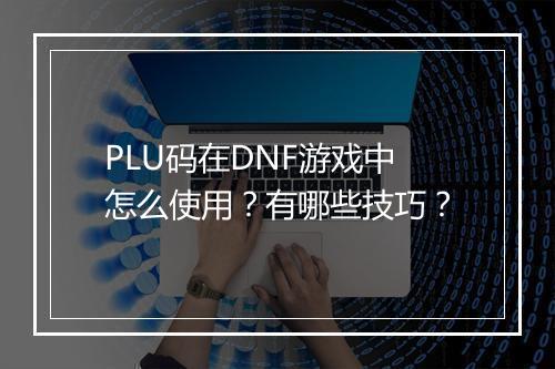PLU码在DNF游戏中怎么使用?有哪些技巧?