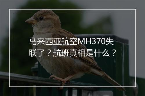 马来西亚航空MH370失联了?航班真相是什么?