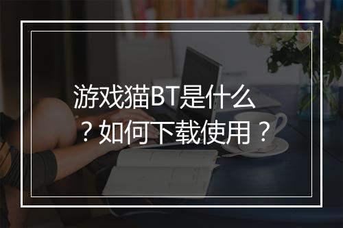 游戏猫BT是什么?如何下载使用?