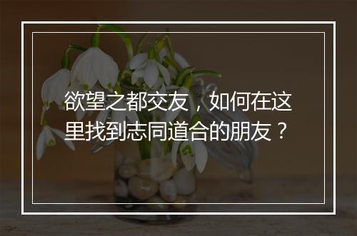 欲望之都交友,如何在这里找到志同道合的朋友?