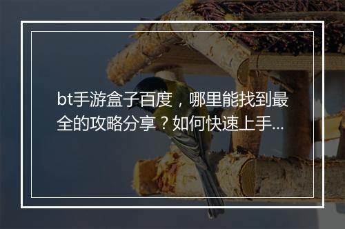 bt手游盒子百度,哪里能找到最全的攻略分享?如何快速上手?