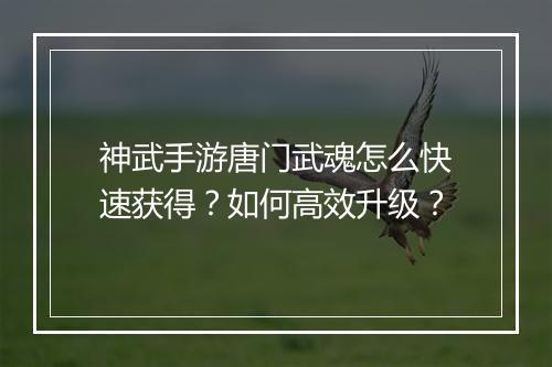 神武手游唐门武魂怎么快速获得？如何高效升级？