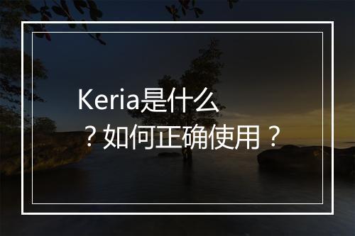 Keria是什么?如何正确使用?