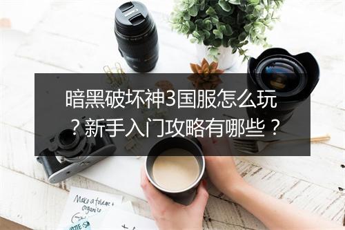 暗黑破坏神3国服怎么玩?新手入门攻略有哪些?