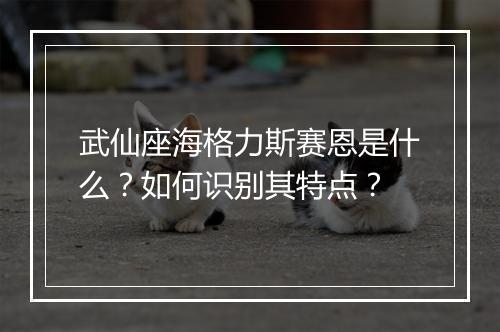 武仙座海格力斯赛恩是什么？如何识别其特点？