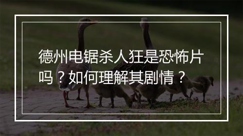德州电锯杀人狂是恐怖片吗?如何理解其剧情?