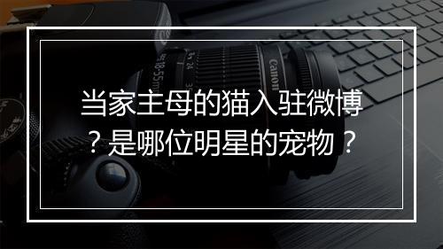 当家主母的猫入驻微博?是哪位明星的宠物?