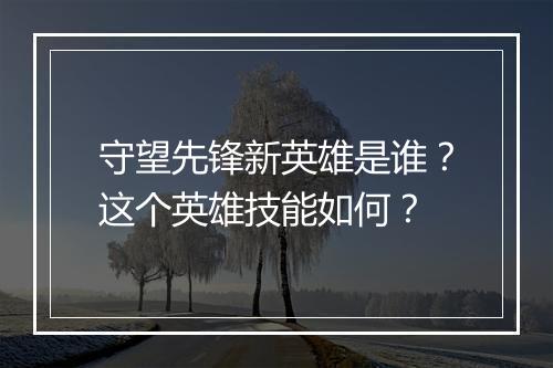 守望先锋新英雄是谁?这个英雄技能如何?