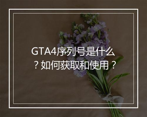 GTA4序列号是什么?如何获取和使用?
