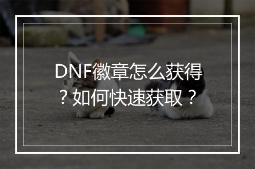 DNF徽章怎么获得?如何快速获取?