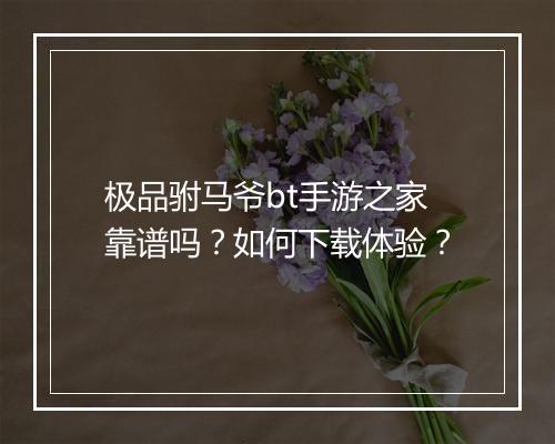极品驸马爷bt手游之家靠谱吗?如何下载体验?