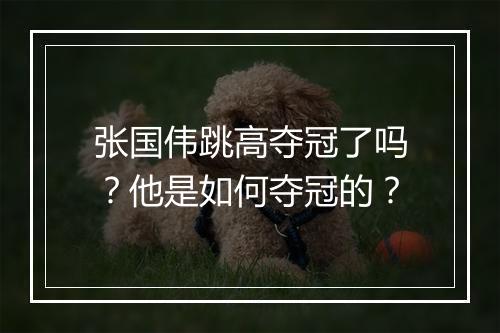 张国伟跳高夺冠了吗?他是如何夺冠的?