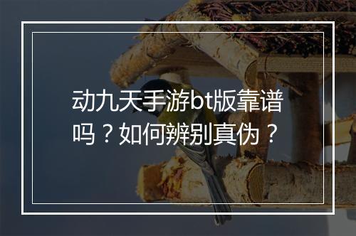 动九天手游bt版靠谱吗?如何辨别真伪?