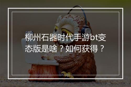 柳州石器时代手游bt变态版是啥?如何获得?