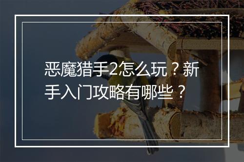 恶魔猎手2怎么玩?新手入门攻略有哪些?