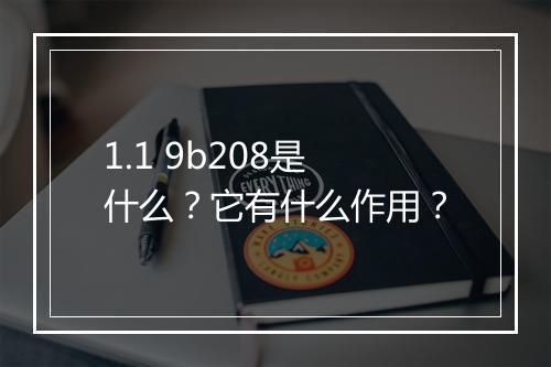 1.1 9b208是什么?它有什么作用?