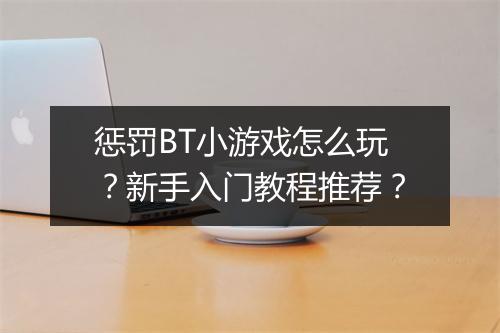 惩罚BT小游戏怎么玩?新手入门教程推荐?