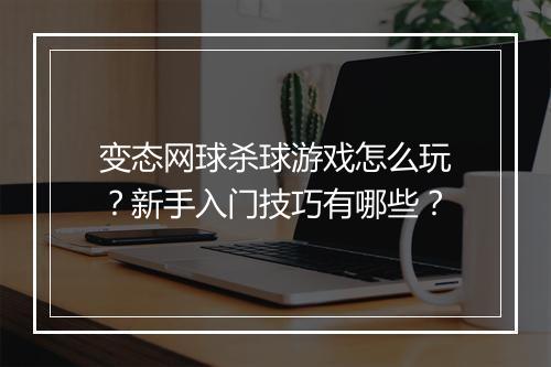 变态网球杀球游戏怎么玩？新手入门技巧有哪些？