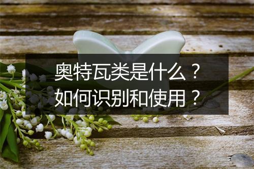 奥特瓦类是什么?如何识别和使用?