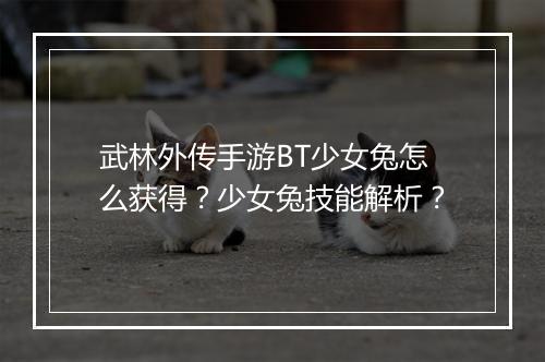 武林外传手游BT少女兔怎么获得?少女兔技能解析?