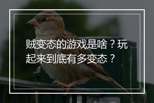 贼变态的游戏是啥?玩起来到底有多变态?