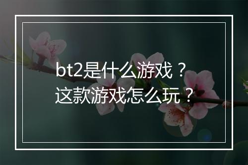 bt2是什么游戏?这款游戏怎么玩?