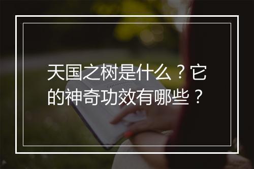 天国之树是什么?它的神奇功效有哪些?