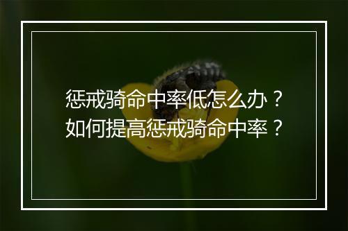 惩戒骑命中率低怎么办?如何提高惩戒骑命中率?