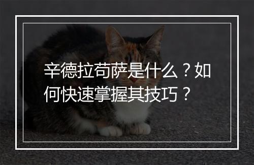 辛德拉苟萨是什么？如何快速掌握其技巧？