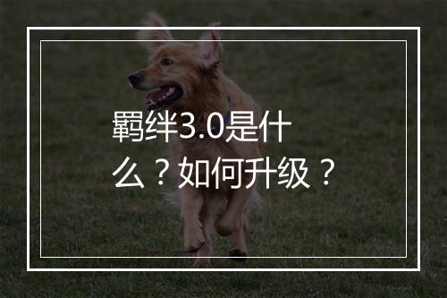 羁绊3.0是什么?如何升级?