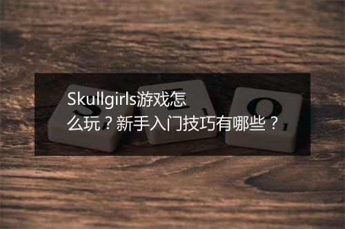 Skullgirls游戏怎么玩?新手入门技巧有哪些?