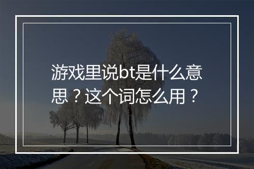 游戏里说bt是什么意思?这个词怎么用?