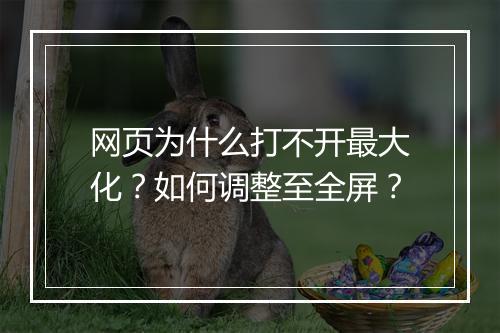 网页为什么打不开最大化？如何调整至全屏？