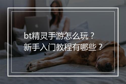 bt精灵手游怎么玩？新手入门教程有哪些？