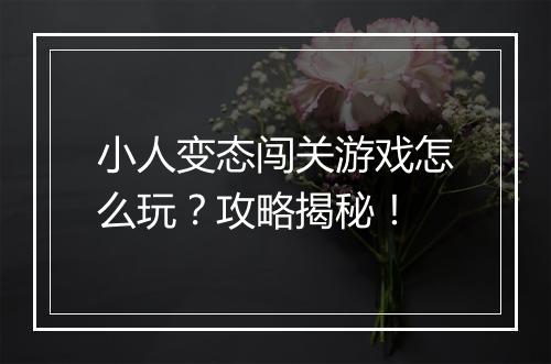 小人变态闯关游戏怎么玩？攻略揭秘！