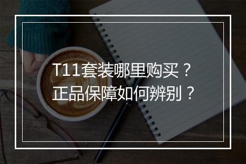 T11套装哪里购买？正品保障如何辨别？